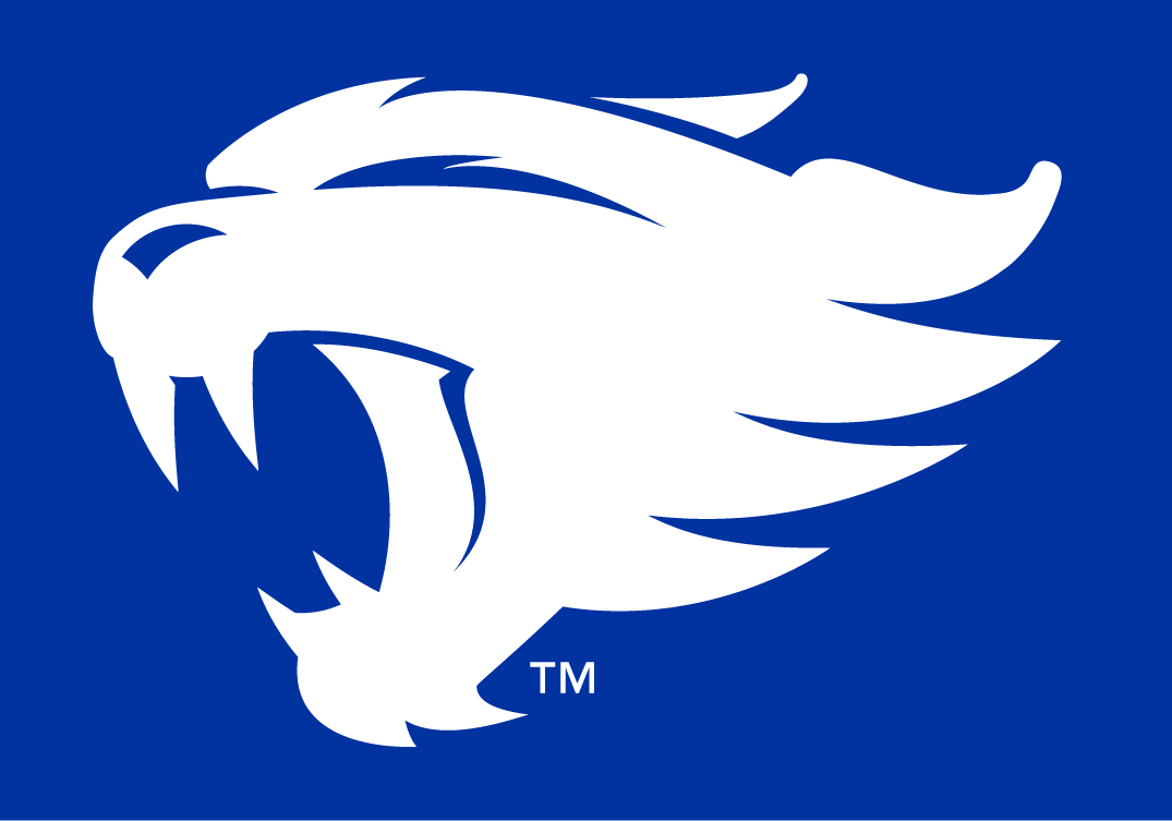 Kentucky Wildcats 2016-Pres Alternate Logo t shirts iron on transfers v2